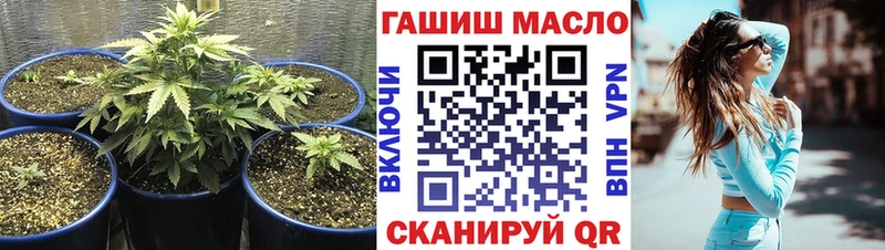 магазин    Торопец  ТГК THC oil 