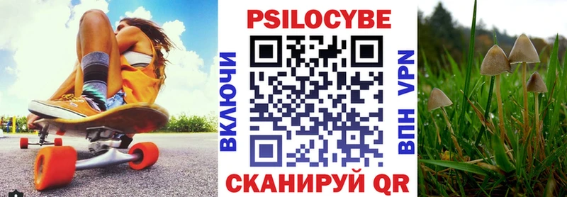 Псилоцибиновые грибы ЛСД  мега сайт  Торопец 