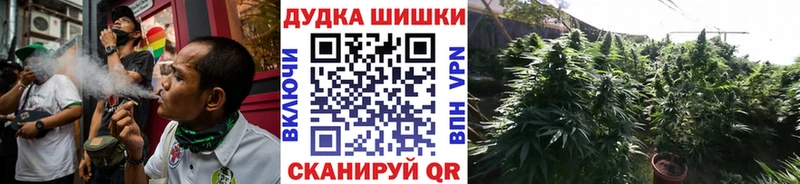 Бошки марихуана Bruce Banner  Торопец 